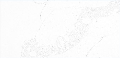 Quartz 6068 for Desk Tops Application