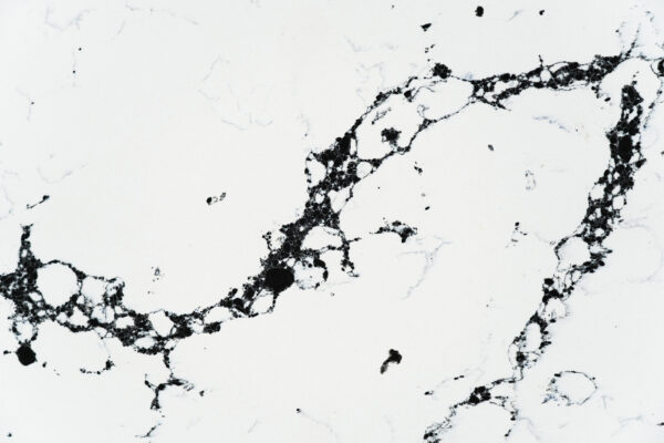 PANMINQUARTZ-PMC1999-1-partial