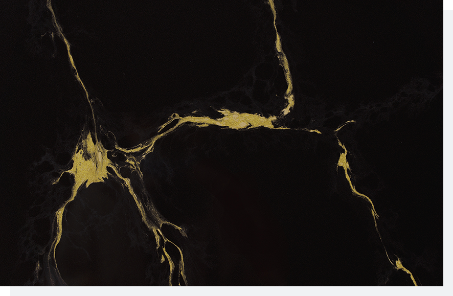 Top 5 Calacatta Quartz Patterns for a Modern Look 1 Stone Surfaces PMC2347