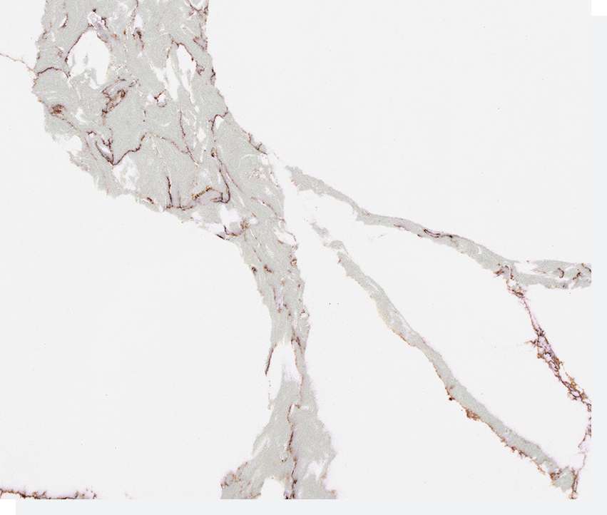 The 5 Most Popular Calacatta Quartz Style 5 Stone Surfaces PMC2282