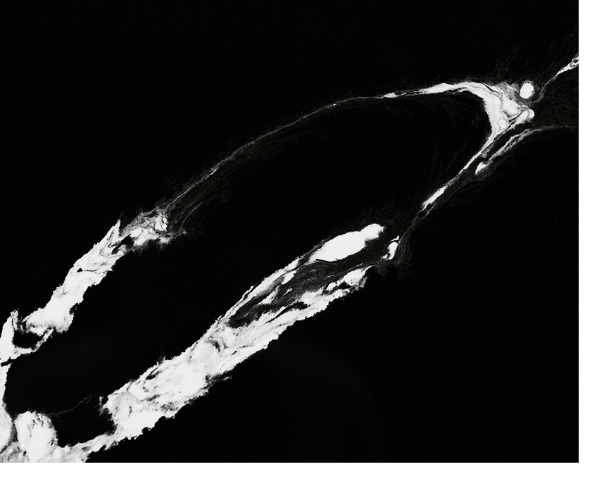 Best 3 Calacatta Quartz Slabs to Add Elegance to Your Space 4 Stone Surfaces PMC2265