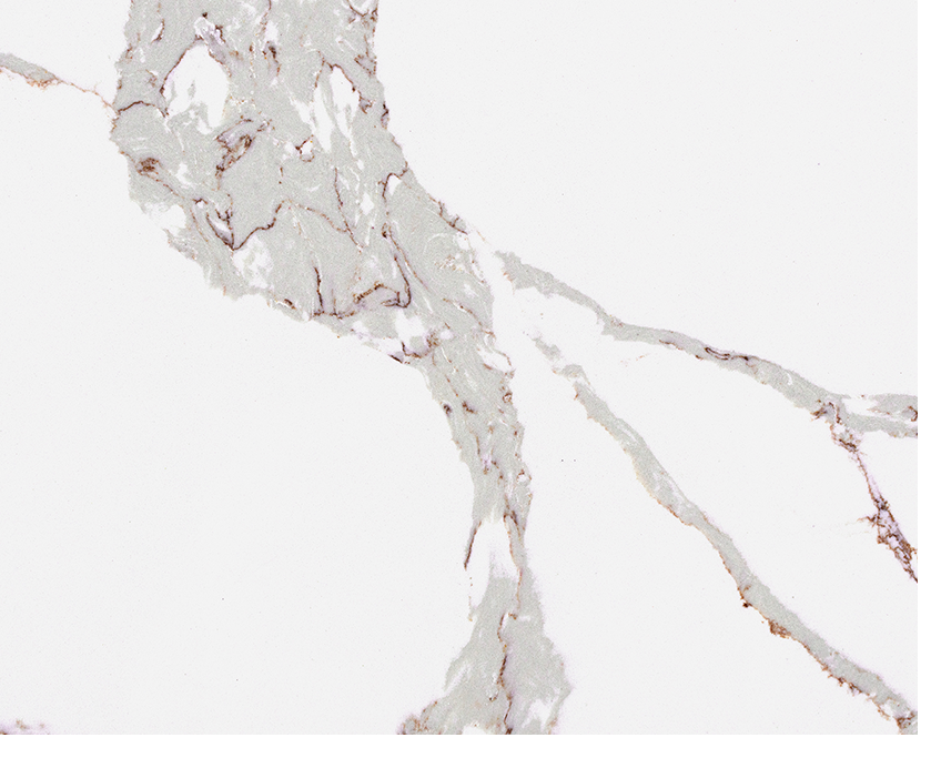 The 3 Most Stunning Calacatta Quartz Ideas 4 Stone Surfaces PMC2282